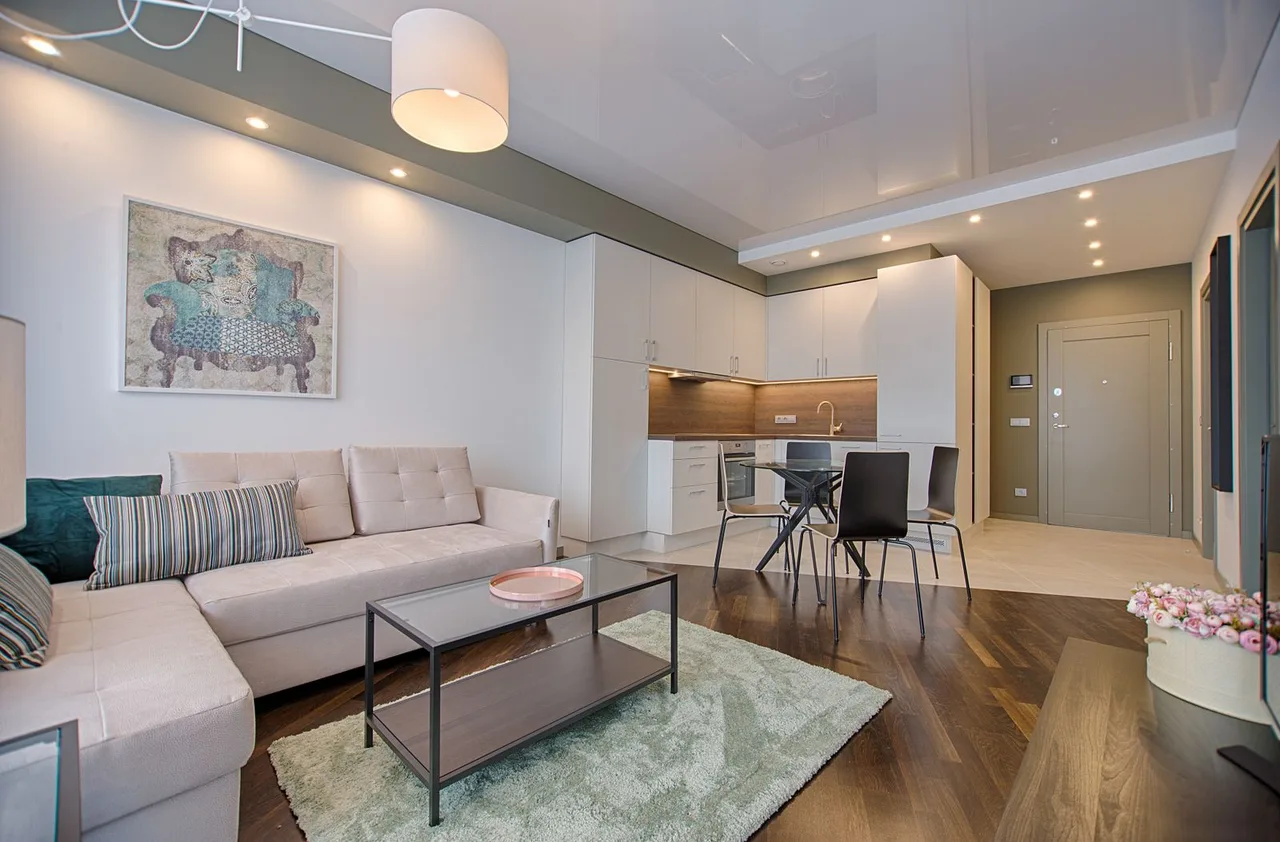 Compact condo living room and kitchen