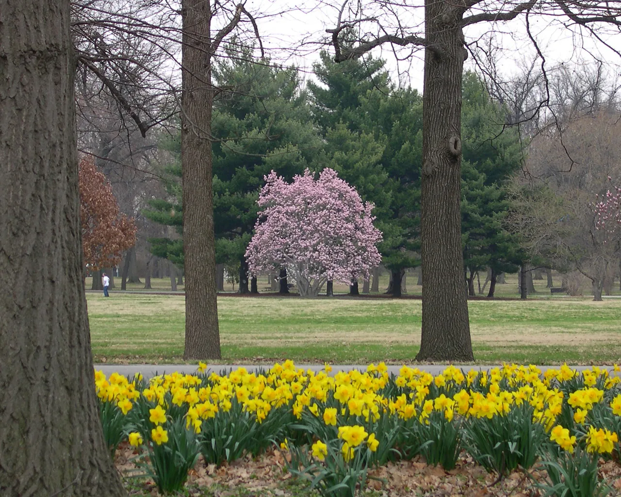 Tower Grove Park in St. Louis